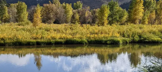 Big Daddeez Construction and Remodeling Show Low - Areas We Serve