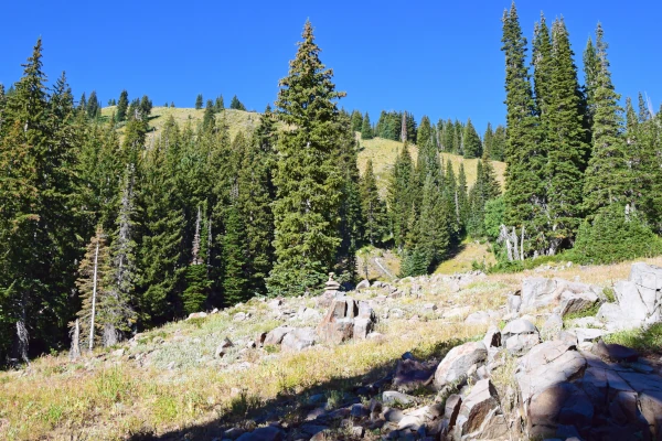 Buying Land for a Custom Home in the White Mountains